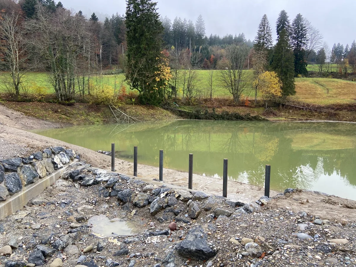 Ein Teich, ein Damm und ein Rechen aus Pflöcken.